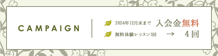 2024年12月まで入会金半額 無料体験レッスン1回のところを4回